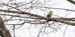 � �������� �������� ������� � ��������� ������� ������������ � ��� �������