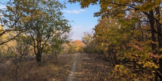 � �������� ������ ����������� ������ �������� ��-�� ���������� ������� ��������