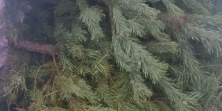 �� ������� � ����������� ������������� ���������� ����� ������ ���������� ����