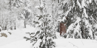 � ����������� ������� ��������� ������� ������ 2025 ���� �������� �� ����������