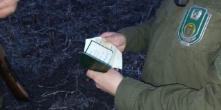 � ����������� ������� 23 ���������� �������� ����� �� �����