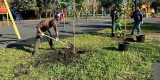 ������������� �������� ��� ���������� �������� ��������� �� 95%