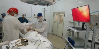 В Балакове девушку госпитализировали в больницу после нападения обезьяны В Балакове девушку госпитализировали в больницу после нападения обезьяны