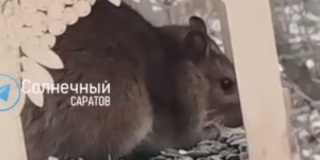 � ����� ������ ����� ��������� �������� �� �������� � �������� ����� 