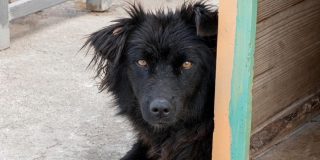 � ��������� ������� �������� ����������� �� ��������� ��������� ������