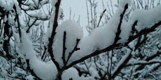 � ����������� ������� ������������ ������ ���� � ����� �� -15