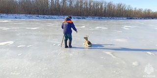 � �������� ������ ���������� �� ���� ������