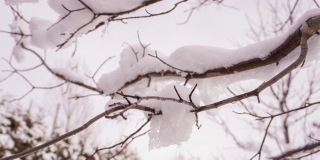 � �������� ����� ������� � ��������� ���������� � ������������ �� -9