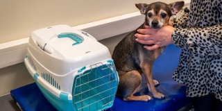 � ����������� ������� 158 ������ � ������� ��������� ��������� �� �����