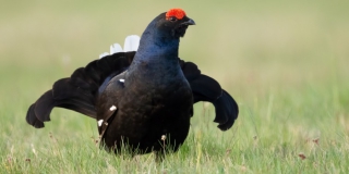 � ��������� ������������ ������� ������������� �������