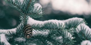 В Саратовской области прогнозируют изморозь и температуру до -20 градусов В Саратовской области прогнозируют изморозь и температуру до -20 градусов