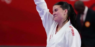 ����������� ���������� �������� ������������� ������ � ������