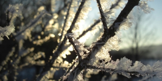 В Саратовской области прогнозируют дневную температуру до -18 и изморозь В Саратовской области прогнозируют дневную температуру до -18 и изморозь