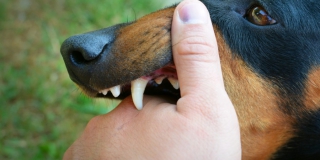 � ������� � ���������� �������� 10 ����� �� ��������� �������� ������ �� �������