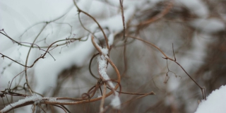 � ����������� ������� ������������ ��������� ���� � ������ � ������