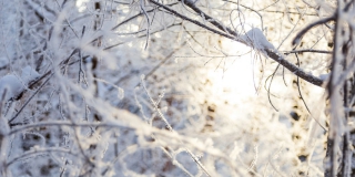 ������ � �������� ������� � �������� �������� ��-�� �������������� �����������