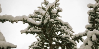 � ����������� ������� ������������ ������� ������� ��������� � ����� �� -19