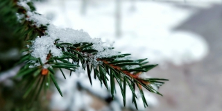 � �������� ������� ������� ��� ������� � � ������� �� -15