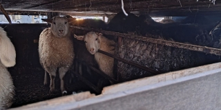 ��� ��������� ���������� � �������������� ��������� 90 ����������� ���� � ���