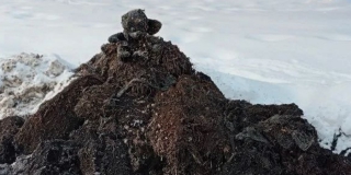 � �������� �������� ������� � ������������ ���� ����������