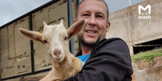 �������� �������� ������� ���������� �� ���� ����������� ������������� �������