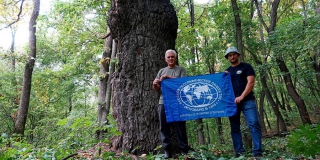 ����������� 380-������ ��� ����� � ������������ ������ ��������������� ��������