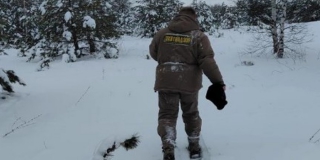 � ����������� ������� ��������� ���� ��������� � �������������������� �������