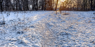 � �������� ������������ ���� ��� ������� � ����������� �� -8