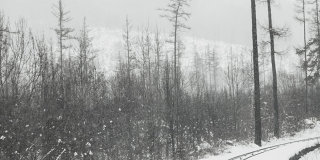 В Саратовской области ожидается небольшой снег и порывистый ветер В Саратовской области ожидается небольшой снег и порывистый ветер