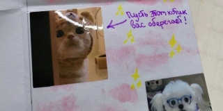 ���� ��� ����� ��� ����� � ����� ������ � ����������� �� ������� �� ����� ���