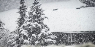 В Саратовской области прогнозируют метели и усиление ветра до 20 м/с В Саратовской области прогнозируют метели и усиление ветра до 20 м/с