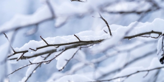 � ����������� ������� ����� �������� ������� ������ ������ ������ �� -21