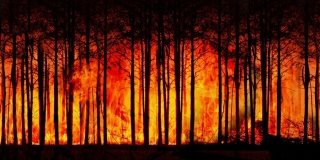 � ����������� ������� �������� 173 ��� �� ������ ����� �� �������