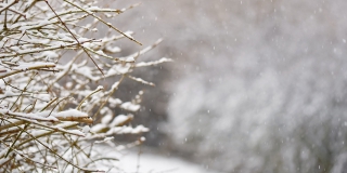 В Саратовской области ожидается мокрый снег и температура до -7 В Саратовской области ожидается мокрый снег и температура до -7