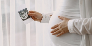 ����������� ������ �������� 1576 ���� ��� ���������� ���