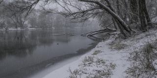 � ����������� ������� ��������� ��������, ������ � �������