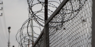 � ������ ���� ���-����������� � �� ����������� �������� �� �������� 40 ���������