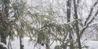 � ����������� ������� ������� ������� � ������ ������ � �������