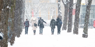 ���� ������������. � ����������� ������� ����������� �������� ������� � ��������