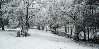 � ����������� ������� ������� ������� �� ����������� � �������