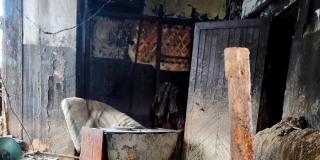 �� ������������ �� ������ � ������� ���� ����� ���������