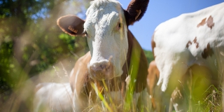 ����� ���������� ������������ ��� ���� ���� ��-�� ����������� ����� �����������