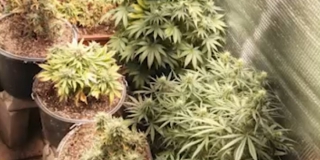 � ��������� � �������� ������� ���������� ��������� �������