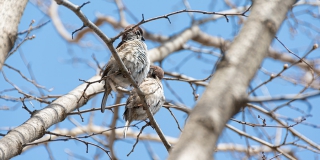 ��������� �������� ������� � ���������� ����������� � ������ �� +11