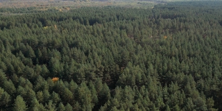 � ����������� ������� �� 2026 ��� �������� �������� ��� 4 ������ �������� �����