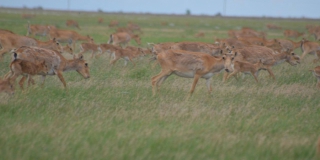 � ����������� ������� ��������� ���� ���������� ��������� ��������