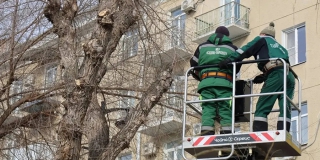 �� ���������� ����������� 50-������ ����� �������� ������������� �������