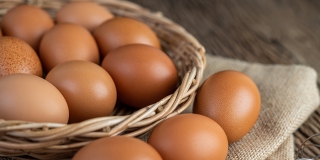 � ����������� ������� ������� ���������� ����� ����� ������� �����������