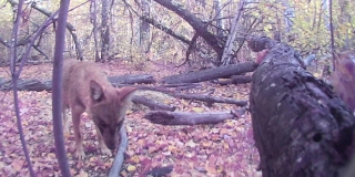 ������ ��������� �� ������� ����� ����������� �������