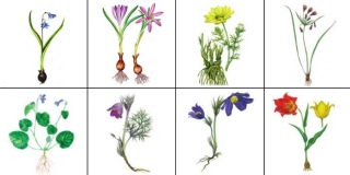 ���������� �������� �� ����� ����������� � ��������